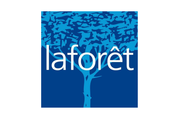 bachelor alternance toulon laforêt