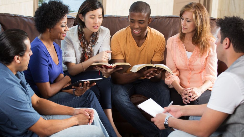 bachelor toulon REDA