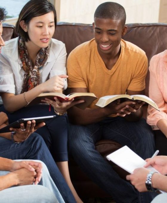 bachelor toulon REDA