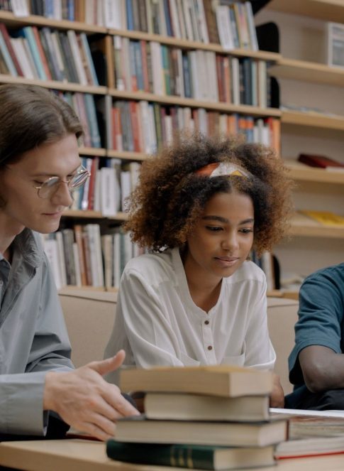 bachelor toulon modalites