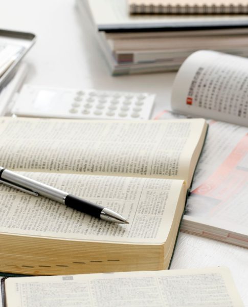 bachelor toulon débouchés