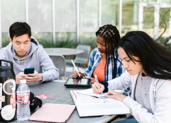 bachelor alternance toulon et bts management commercial