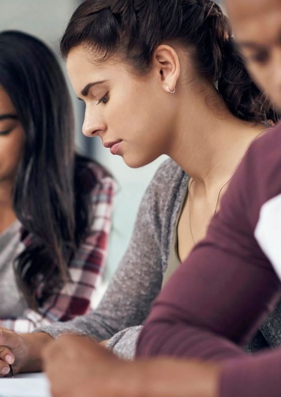 bachelor alternance toulon responsable des affaires