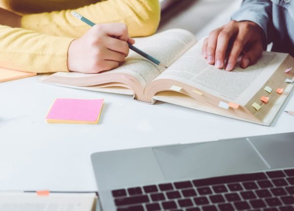 bachelor alternance toulon bts action managériale